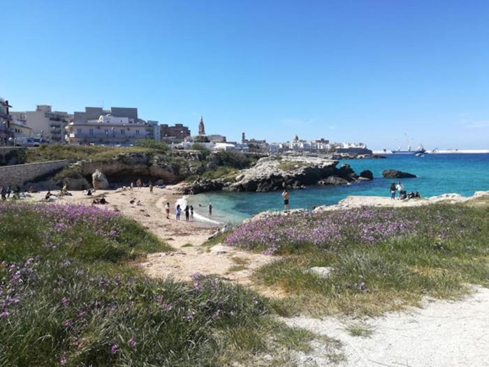 Appartement Eco Del Mare Locazioni Turistiche à Monopoli Extérieur photo